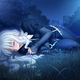 Illustration for article titled A Visual Novel Fans Opinion on Eroge